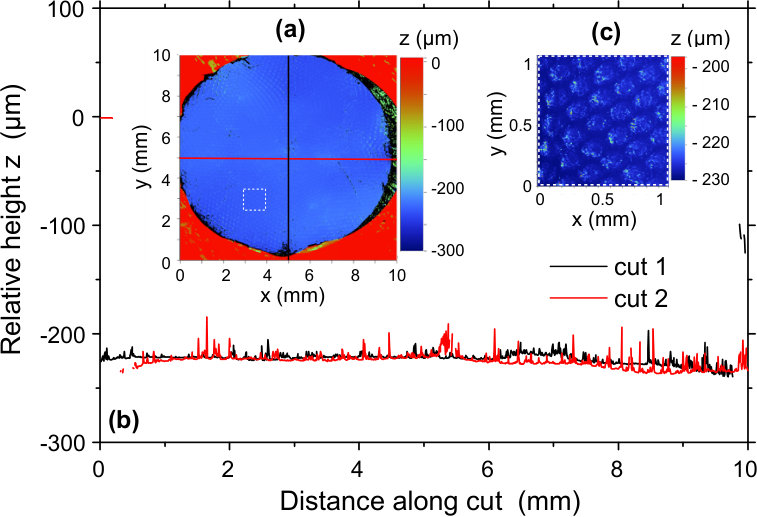Figure 10
